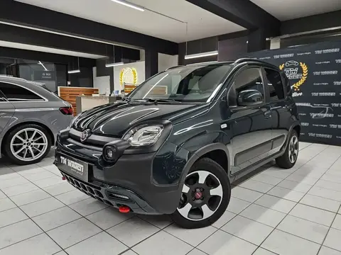 Annonce FIAT PANDA Hybride 2023 d'occasion 