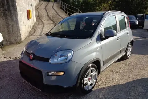 Annonce FIAT PANDA Hybride 2022 d'occasion 