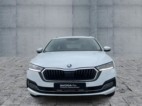 Annonce SKODA OCTAVIA Diesel 2024 d'occasion 