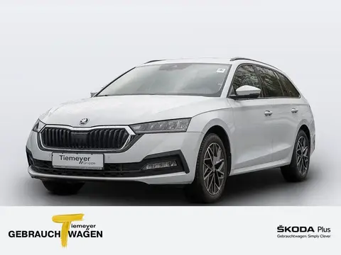 Annonce SKODA OCTAVIA Essence 2024 d'occasion 