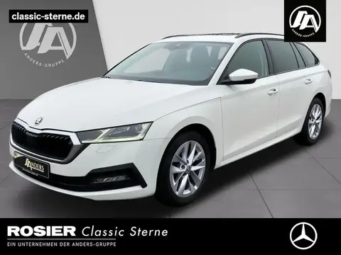 Used SKODA OCTAVIA Diesel 2020 Ad 