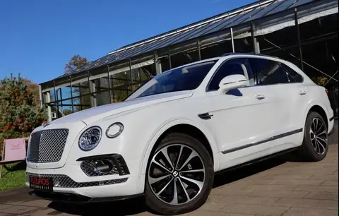 Used BENTLEY BENTAYGA Petrol 2016 Ad 