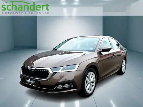 Used SKODA OCTAVIA Petrol 2020 Ad 