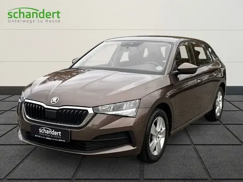 Used SKODA SCALA Petrol 2019 Ad 