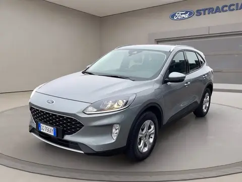 Used FORD KUGA Hybrid 2022 Ad 