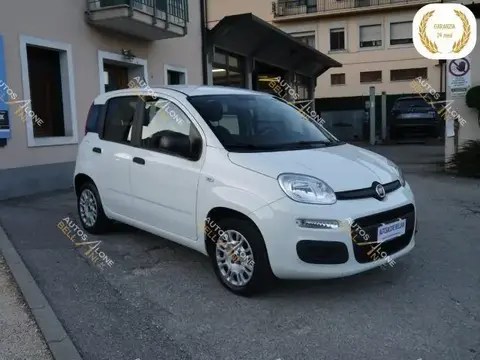 Annonce FIAT PANDA  2019 d'occasion 