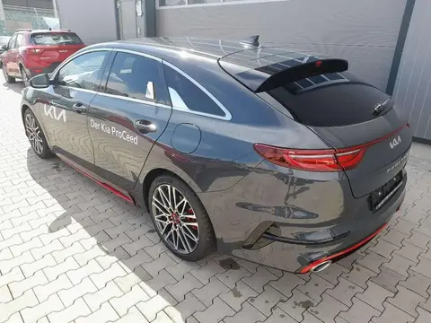 Used KIA PROCEED Petrol 2024 Ad 