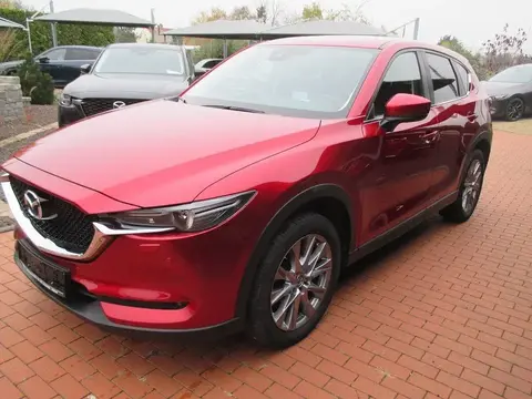 Annonce MAZDA CX-5 Diesel 2019 d'occasion 