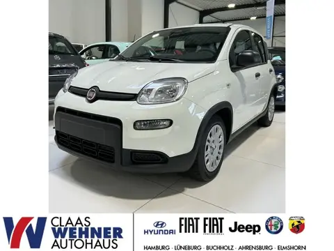 Annonce FIAT PANDA Essence 2024 d'occasion 