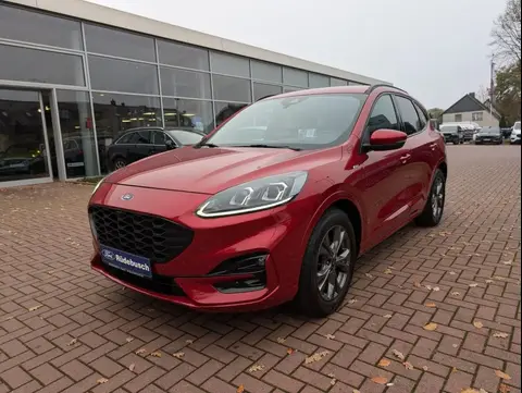 Annonce FORD KUGA Diesel 2021 d'occasion 