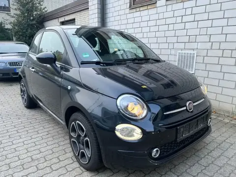 Used FIAT 500 Petrol 2023 Ad 