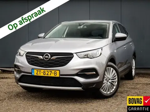 Annonce OPEL GRANDLAND Essence 2019 d'occasion 