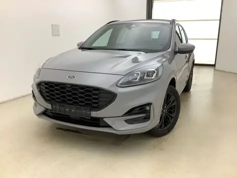 Annonce FORD KUGA Hybride 2024 d'occasion 