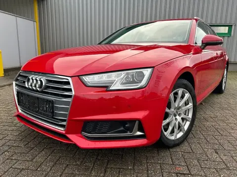 Annonce AUDI A4 Diesel 2019 d'occasion 