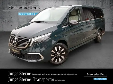 Annonce MERCEDES-BENZ EQV Non renseigné 2021 d'occasion 