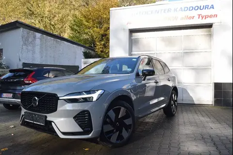 Annonce VOLVO XC60 Hybride 2024 d'occasion 