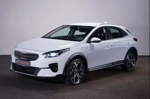 Annonce KIA XCEED Hybride 2022 d'occasion 