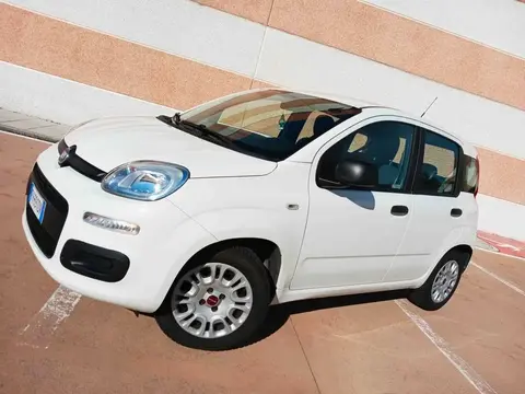 Annonce FIAT PANDA Essence 2017 d'occasion 