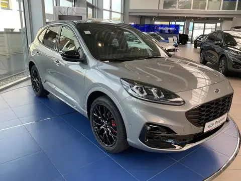 Annonce FORD KUGA Diesel 2024 d'occasion 