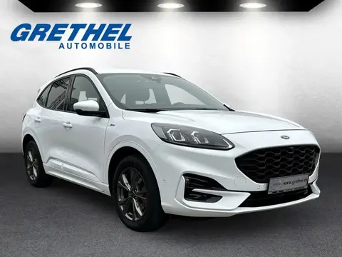 Used FORD KUGA Diesel 2020 Ad 