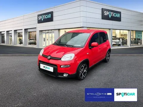 Used FIAT PANDA Hybrid 2021 Ad 