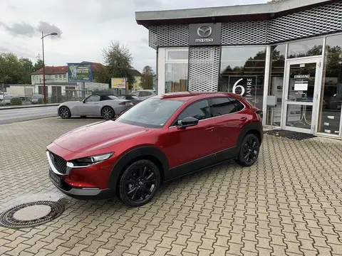 Annonce MAZDA CX-30 Hybride 2024 d'occasion 