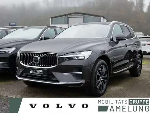 Used VOLVO XC60 Hybrid 2021 Ad 