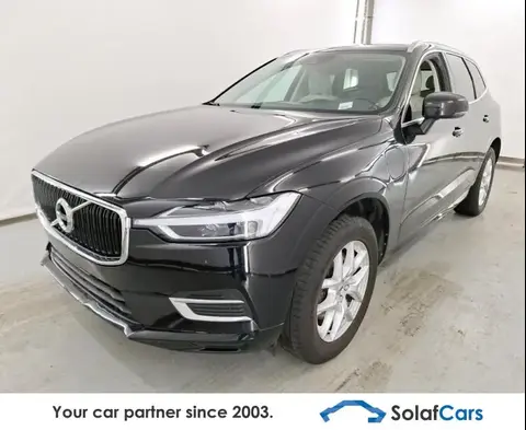 Annonce VOLVO XC60 Hybride 2019 d'occasion 