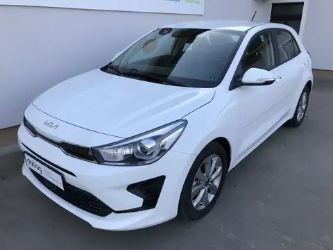 Annonce KIA RIO Essence 2023 d'occasion 