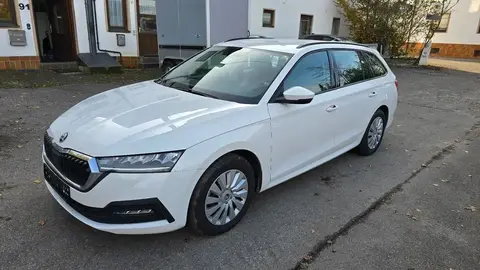 Used SKODA OCTAVIA Petrol 2020 Ad 