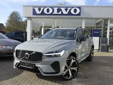 Annonce VOLVO XC60 Hybride 2024 d'occasion 