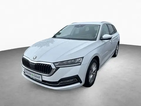 Annonce SKODA OCTAVIA Essence 2024 d'occasion 