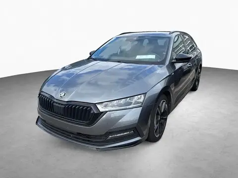 Annonce SKODA OCTAVIA Essence 2024 d'occasion 