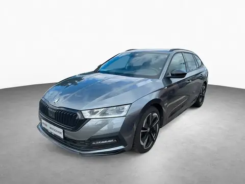 Used SKODA OCTAVIA Diesel 2024 Ad 