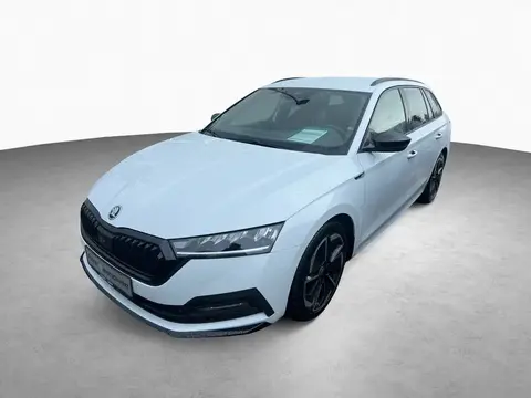 Annonce SKODA OCTAVIA Essence 2024 d'occasion 