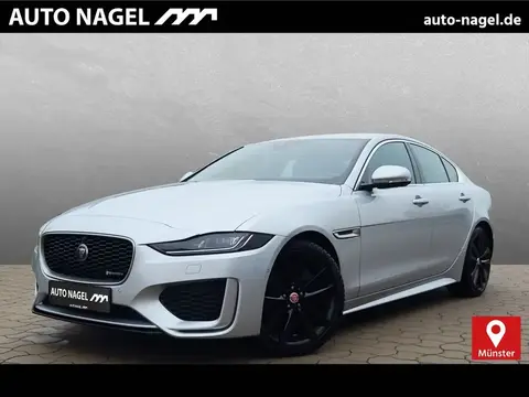 Annonce JAGUAR XE Essence 2020 d'occasion 