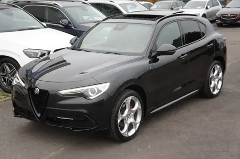 Used ALFA ROMEO STELVIO Petrol 2020 Ad 