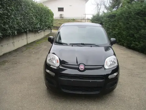 Annonce FIAT PANDA Essence 2019 d'occasion 