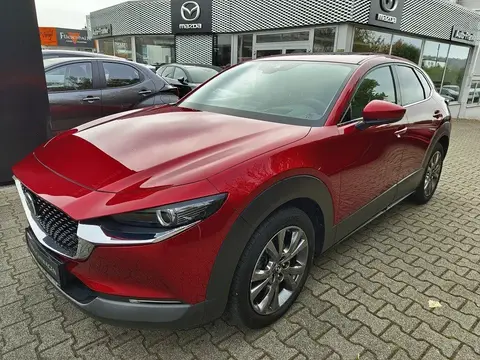 Used MAZDA CX-30 Petrol 2020 Ad 