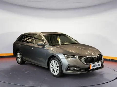 Used SKODA OCTAVIA Diesel 2023 Ad 