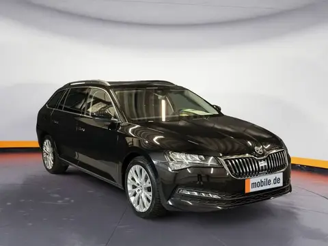 Annonce SKODA SUPERB Diesel 2023 d'occasion 