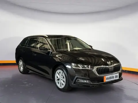 Annonce SKODA OCTAVIA Diesel 2023 d'occasion 