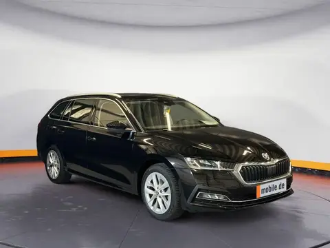 Used SKODA OCTAVIA Diesel 2023 Ad 