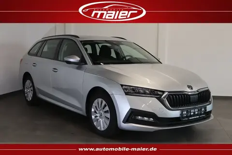 Used SKODA OCTAVIA Diesel 2021 Ad 