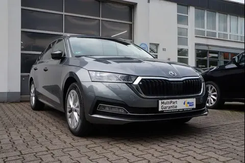 Annonce SKODA OCTAVIA Essence 2024 d'occasion 