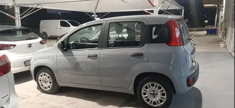 Used FIAT PANDA Petrol 2019 Ad 