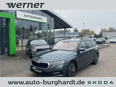 Used SKODA OCTAVIA Petrol 2022 Ad 