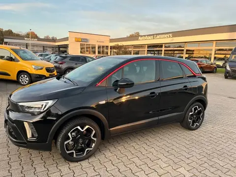 Used OPEL CROSSLAND Petrol 2023 Ad 