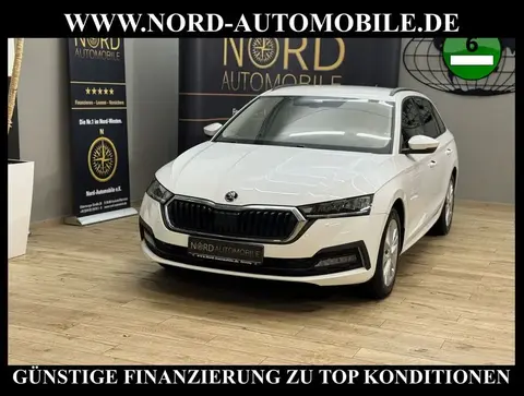 Annonce SKODA OCTAVIA Diesel 2020 d'occasion 