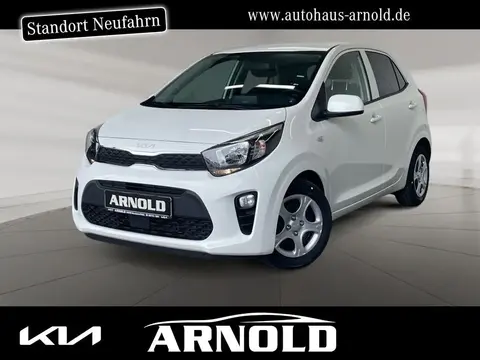 Used KIA PICANTO Petrol 2024 Ad 